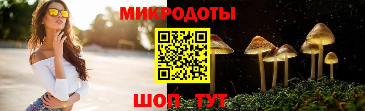 Псилоцибиновые грибы Cubensis Черкесск